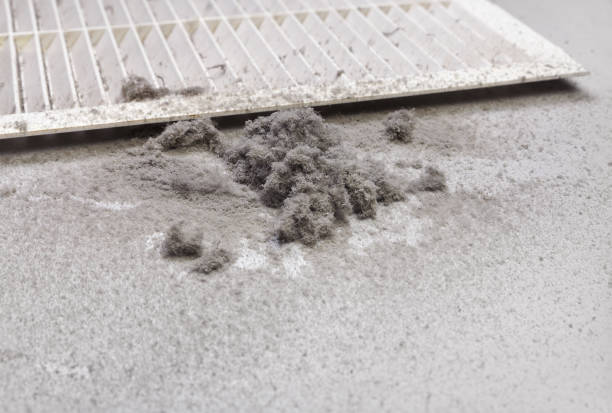 Best HVAC Duct Inspection Services  in Plano, IL