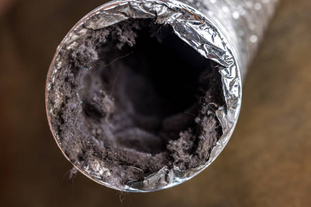 Best Emergency Air Duct Cleaning  in Plano, IL